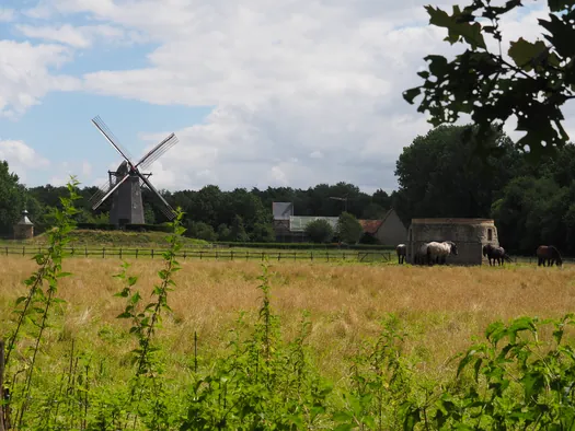 Openluchtmuseum Bokrijk (België)